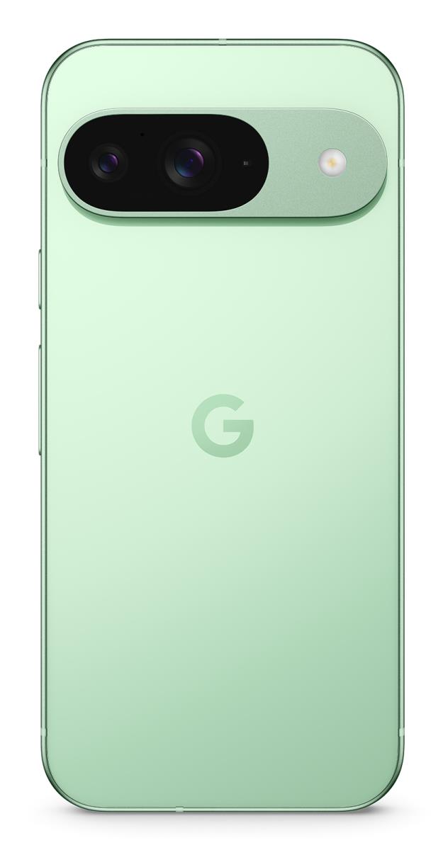 PIXEL 9 128GB WINTERGREEN thumbnail