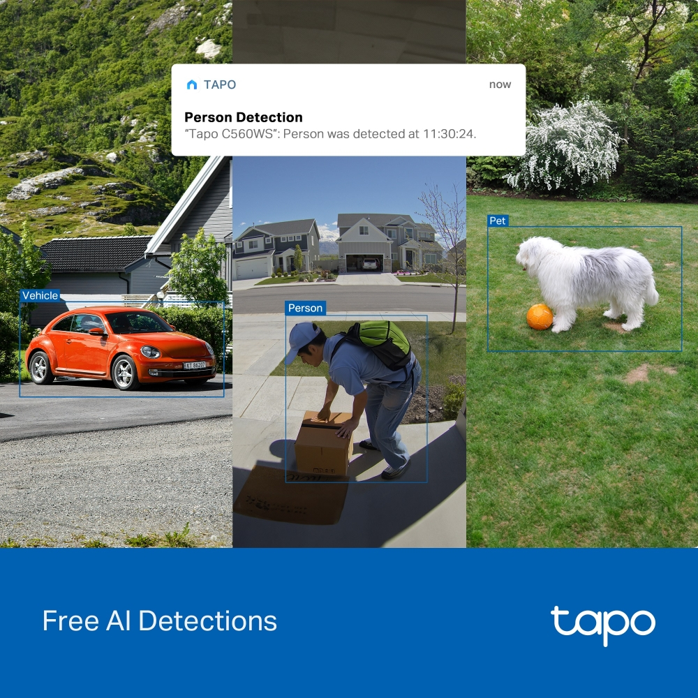 EU Product - Oudoor Pn/il Securiy thumbnail
