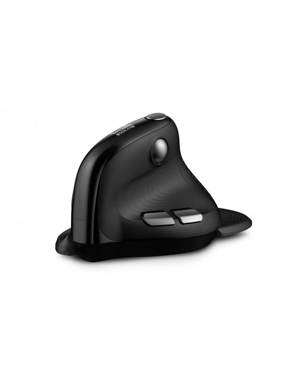 ERGO PRO MAX: WIRELESS RIGHT thumbnail