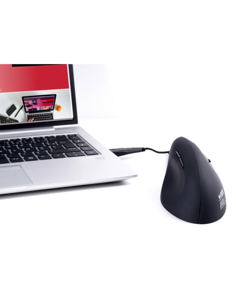 ERGO NEXT VERTICAL ERGONOMIC thumbnail