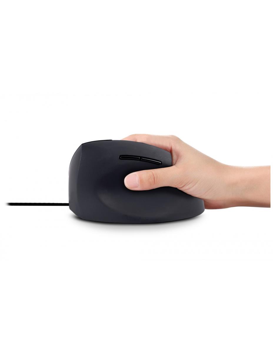 ERGO NEXT VERTICAL ERGONOMIC thumbnail