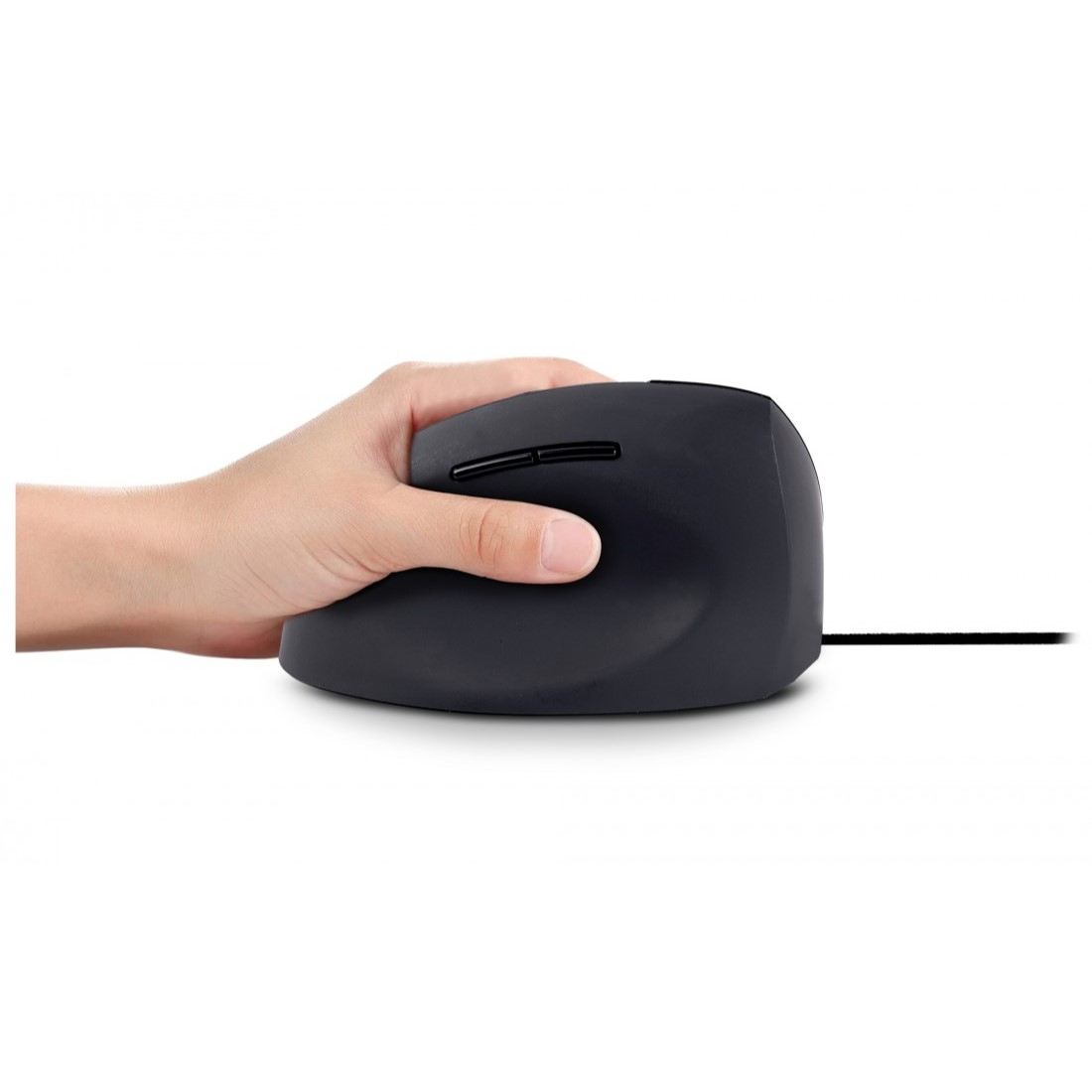 ERGO NEXT VERTICAL ERGONOMIC thumbnail