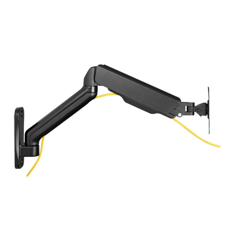 EU Product - Monior Wll moun, 17