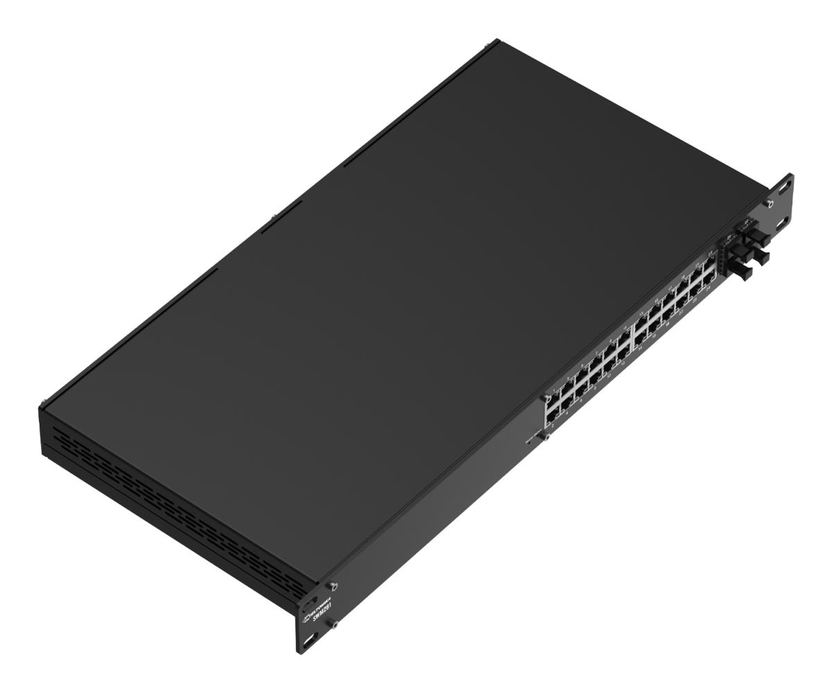 SWM281 Gigabit Ethernet Managed Switch 24 Port thumbnail