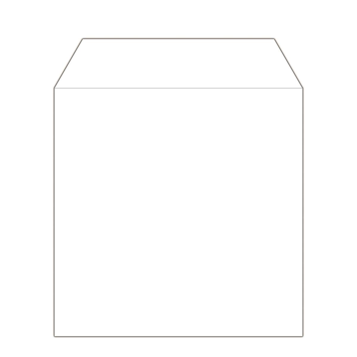 EU Product - CD Paperbag 100pcs,ohne Fenster, Retailpack thumbnail