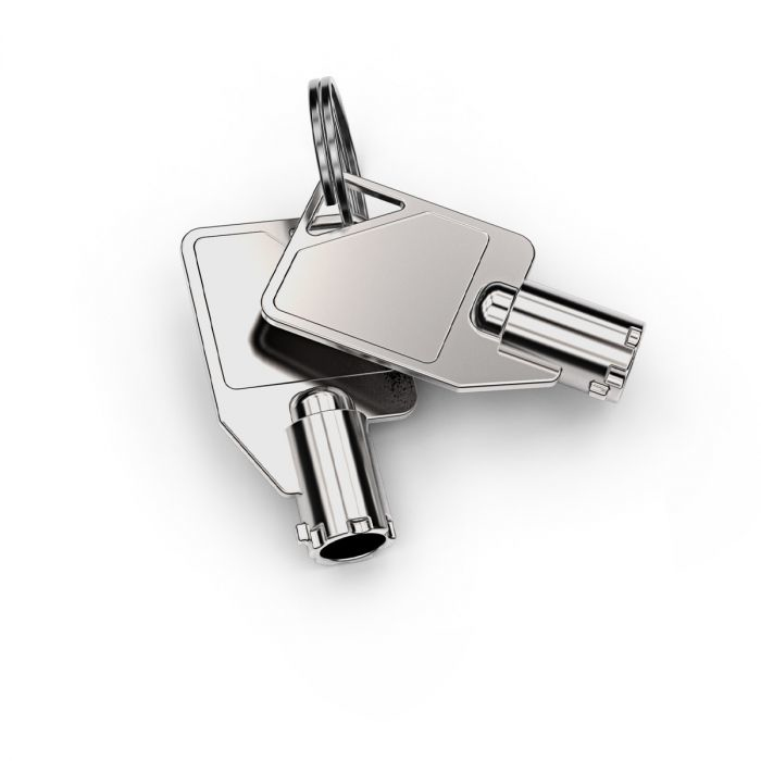 DUAL HEAD COILED T-BAR SECURITY thumbnail
