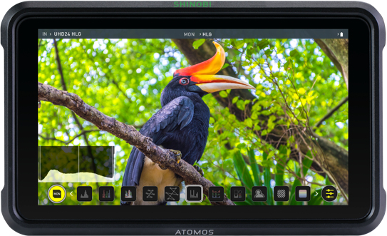 Atomos Shinobi thumbnail