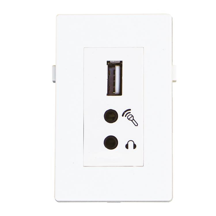 EU Product - US2.0+2x Mini Jck Module. thumbnail