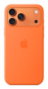IPHONE 17 PRO MAX SIL CASE MSAFE ORN thumbnail