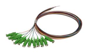 S215560 SYNERGY 21 S215560 - 2 m - OS2 - E-2000 (LSH)