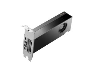 EU Product - NVIDIA RTX - Grafikkarte - NVIDIA RTX 2000 Ada - Graphics card - PCI thumbnail
