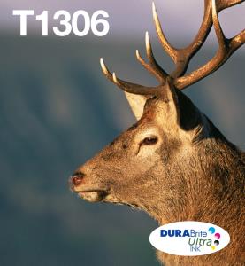 T130 3-COLOURS INKEASYMAIL, STAG thumbnail