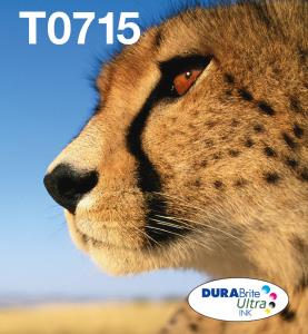 T0715 MULTIPACKEASYMAIL thumbnail