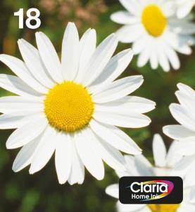 T1806 MULTIPACK EASY ML4 COLOUR CLARIA EASYMAIL thumbnail