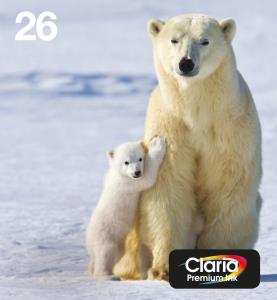 26 POLAR BEARMULTIPACK EASYMAIL thumbnail