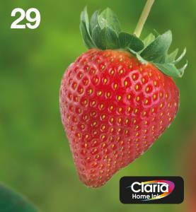 MULTIPACK 4-COLOURS 29 EASYMAIL thumbnail