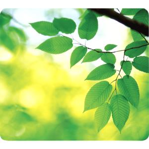 59038 FELLOWES 59038 Earth Series Mouse Pad Leaves 6 pack