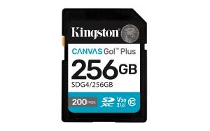 Flash-Card Canvas Go! Plus - SDXC UHS-I - 256 GB thumbnail