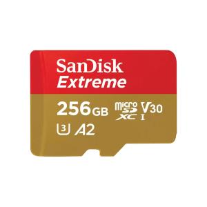 SDSQXAV-256G-GN6GN WESTERN DIGITAL Extreme - Flash-Speicherkarte - 256 GB
