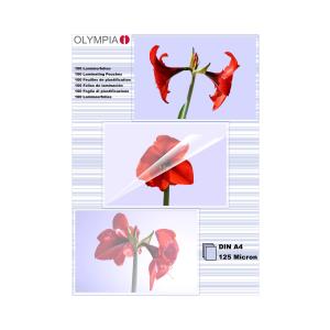 EU Product - Laminierfolie DIN A4       125 Mic 100 St�ck transp. thumbnail