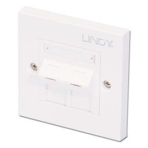60569 LINDY Cat5e Single Wall Plate With 2 X Angled Rj-45 Shuttered Socket, Unshielded