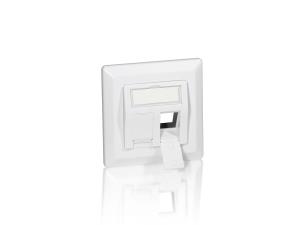 EU Product - Frontplatte 2xKeystone Jack 45�                RAL9010 Polybeutel thumbnail