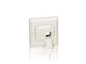 EU Product - Frontplatte 2xKeystone Jack 45�           5Stk RAL1013 Polybeutel thumbnail