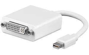 EU Product - Mini Displypor v1.2 DVI M-F thumbnail