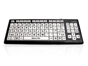 KYB-MON2BLK-UCUH CERATECH Accuratus KYB-MON2BLK-UCUH keyboard USB QWERTY English Black, White                                                                                   