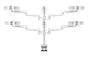 Ergo CMS2981S
