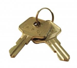 VPK-8K-235 APG CASH DRAWERS Double-bitted Tumbles Assembly Lock Keys (a9) + Lock Pin