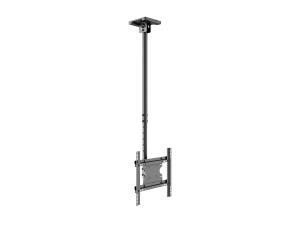 M Public Ceilingmount Medium Single 3000 thumbnail