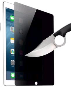 Apple iPad 9.7 Privacy Tempered Glass Screen Protector thumbnail